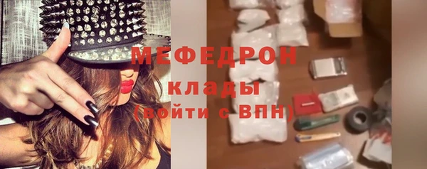 прущие грибы Гусиноозёрск