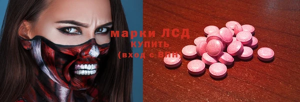 эйфоретик Гусь-Хрустальный