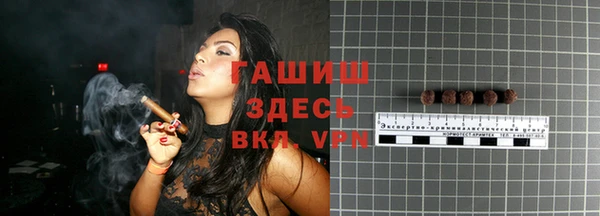 гидра Горняк