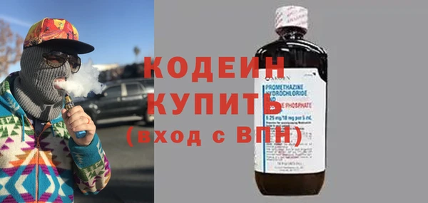 эйфоретик Гусь-Хрустальный
