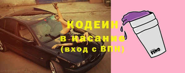прущие грибы Гусиноозёрск