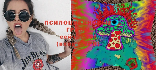 эйфоретик Гусь-Хрустальный
