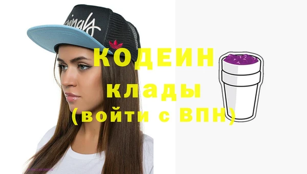прущие грибы Гусиноозёрск