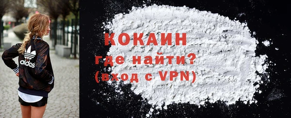 прущие грибы Гусиноозёрск