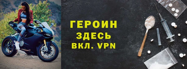прущие грибы Гусиноозёрск