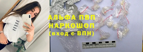 эйфоретик Гусь-Хрустальный